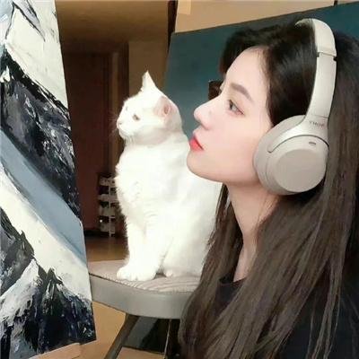 一个国家的诞生海报